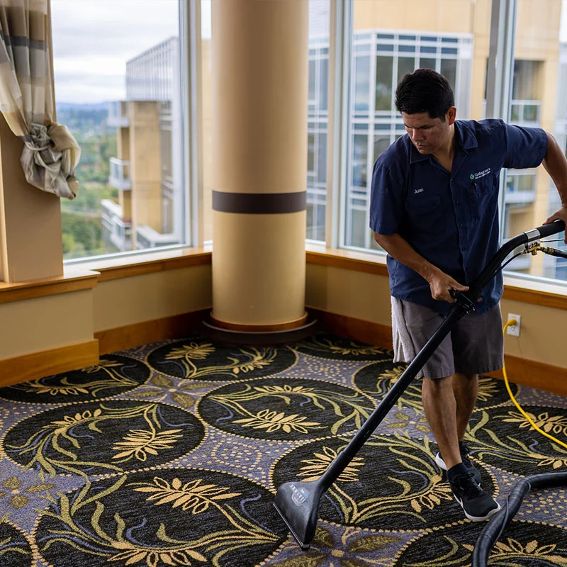 Carpet Cleaning Services