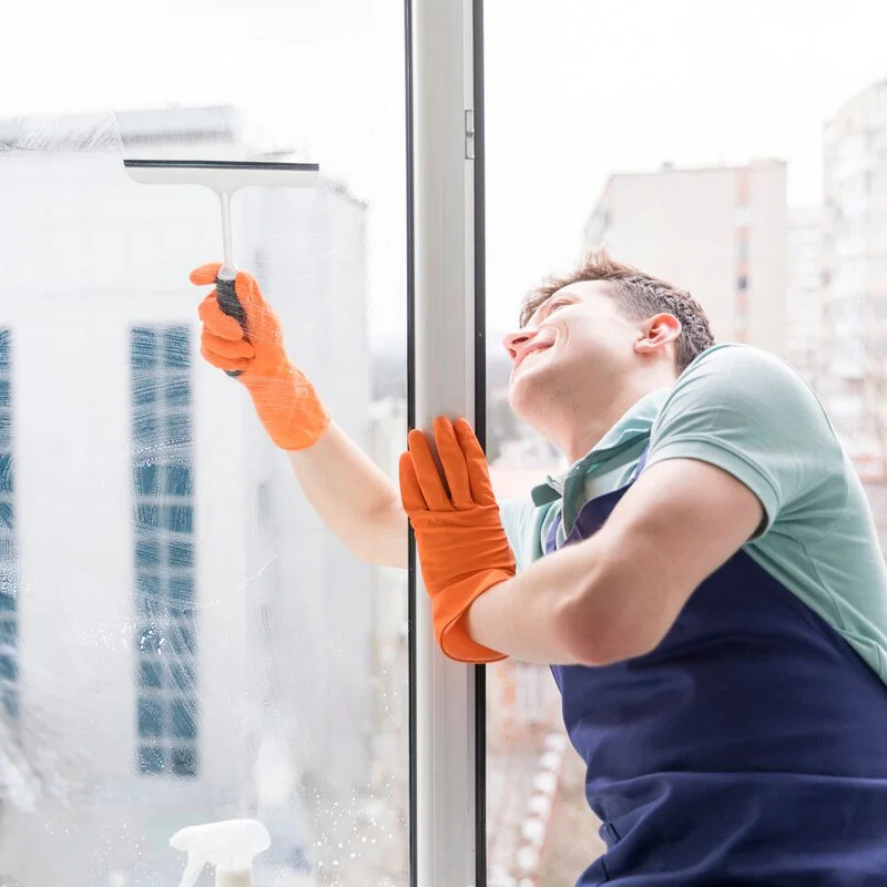 Window Cleaning Services